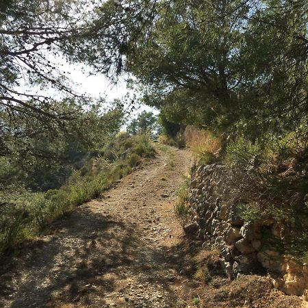 La Yurta Naranja Ξενοδοχείο Finestrat Εξωτερικό φωτογραφία