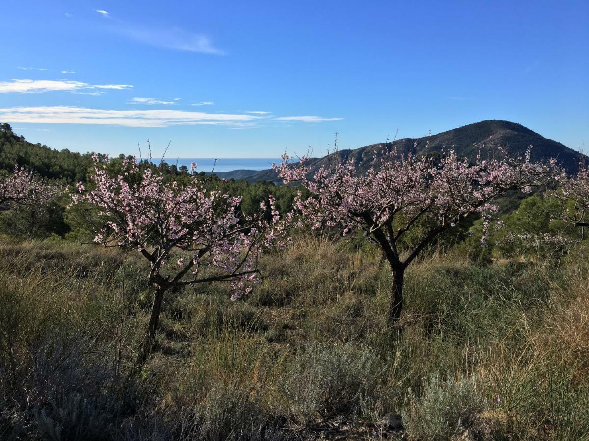 La Yurta Naranja Ξενοδοχείο Finestrat Εξωτερικό φωτογραφία